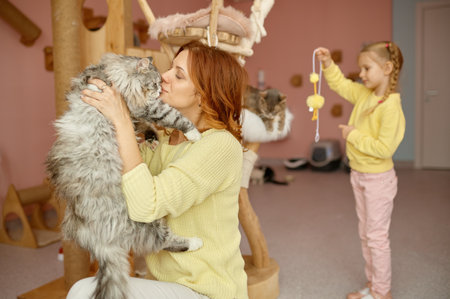 Happy woman spending time with cat in animal shelterの写真素材