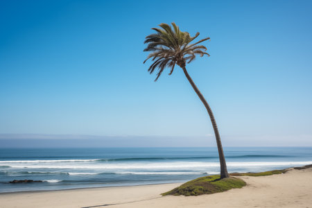 Deserted island with palm and sea. Calm weather on beach. Beautiful nature landscape. Tropical tree outdoor. Time for resting on vacation. Generative AIの素材