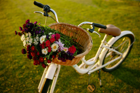 Bicycle with wildflower blossoms in wicker basket on lawnの写真素材