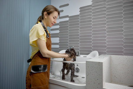 Cute fluffy dog getting hygiene shower at pet salonの写真素材