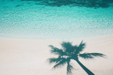 Capture the essence of a tranquil beach, with a stunning palm shadow gracefully falling across the sand. Generative AIの素材