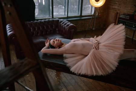 An elegant and graceful ballerina posed on a dark table surrounded by soft tutu fabricの写真素材