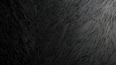 abstract black background with lines of different thickness. 3d renderingの素材