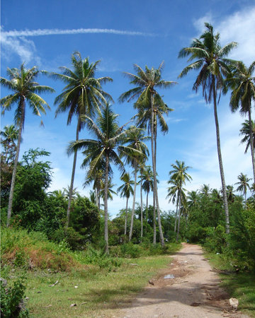 Furrowの写真素材