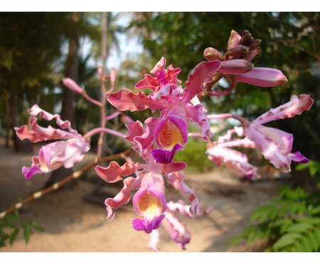 mouth hangingの写真素材