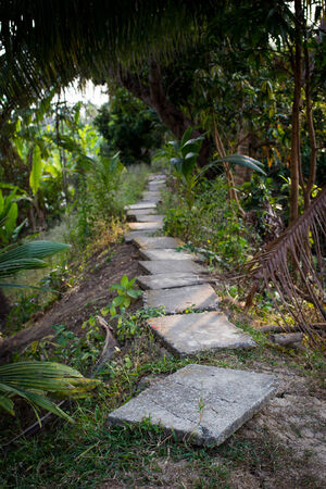 Simply walkway while the forest in evening situation の写真素材