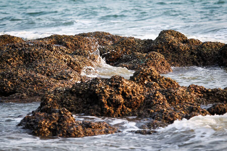 A little sea wave in evening sky の写真素材