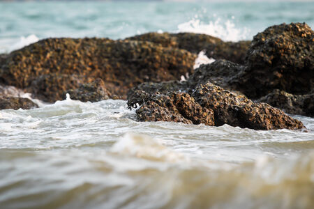 A little sea wave in evening sky の写真素材