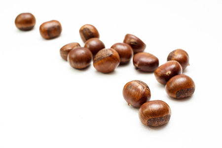 Chestnut isolated