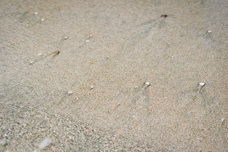 Fresh clean sea water.の写真素材