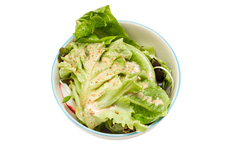 Vegetable salad with Japanese salad cream sauce.の写真素材