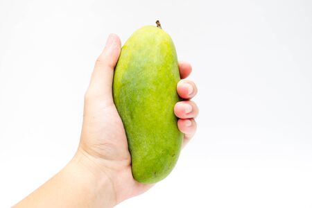Thai mango.の写真素材