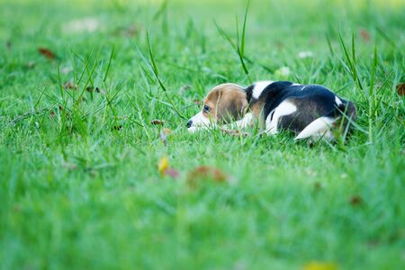 http:women.sanook.com39337の写真素材