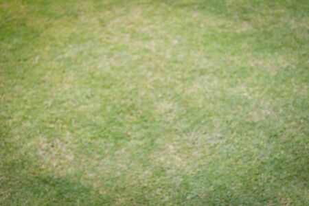 Blur of grass field background.のeditorial素材