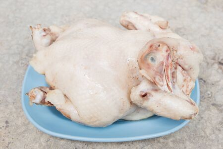 Boiled chicken prepare for cooking.の写真素材