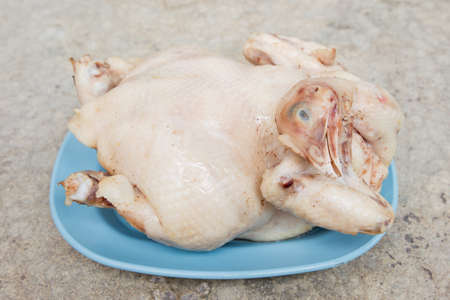 Boiled chicken prepare for cooking.の写真素材