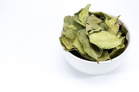 Dried bergamot leaf isolated.の写真素材