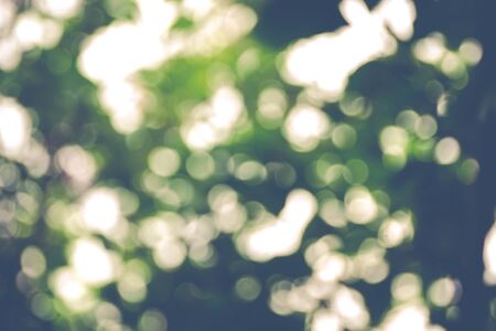 Blur image of bokeh from tree background. Vintage Filteredの写真素材