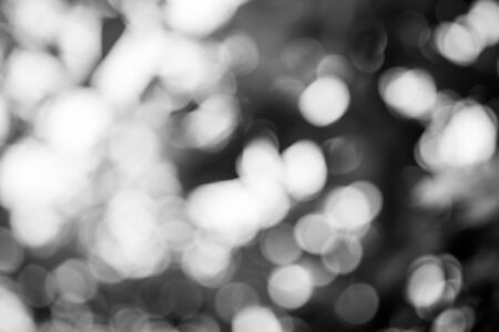 Blur image of bokeh from tree background.の写真素材