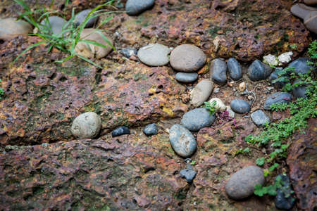 The laterite walk path in garden.の写真素材