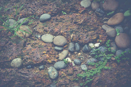 The laterite walk path in garden. Vintage filteredの写真素材