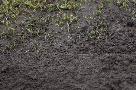 Dirt field close up background.の写真素材