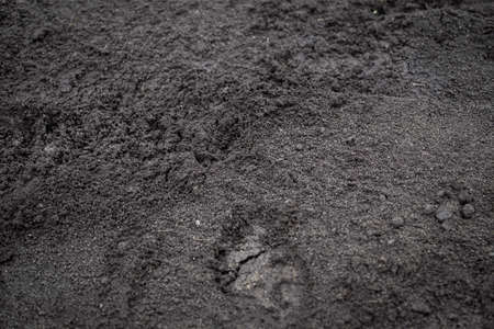 Dirt field close up background.の写真素材
