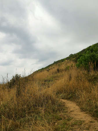 Landscspe of moutain in cloudy dayの素材