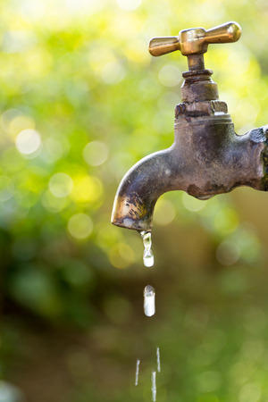 Brass water tap in nature background.の写真素材