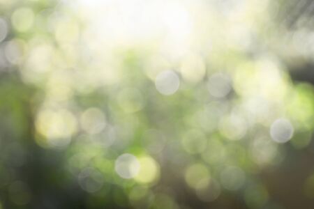 Blur lighting of nature background. (Processed in vintage colour tone)の写真素材