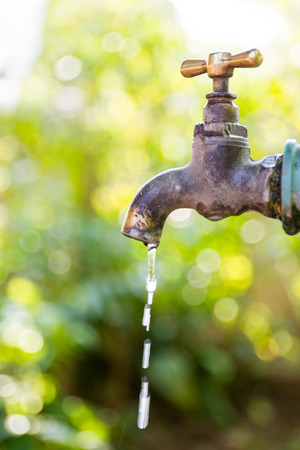 Brass water tap in nature background.の写真素材