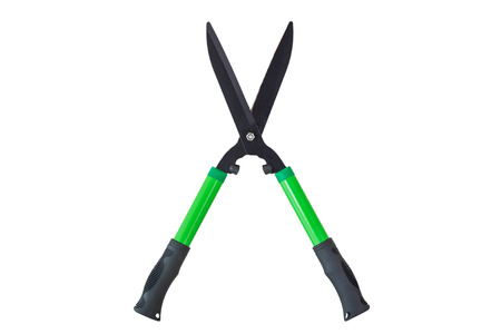 Modern model of Grass Shears close up isolated on white background.の写真素材