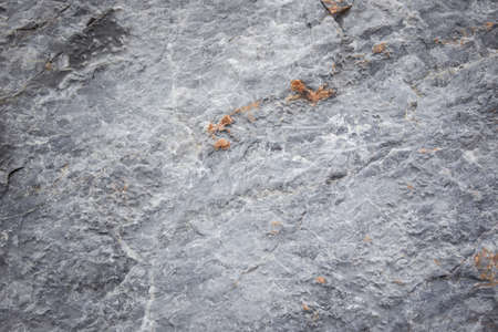 Hard stone close up background.の写真素材