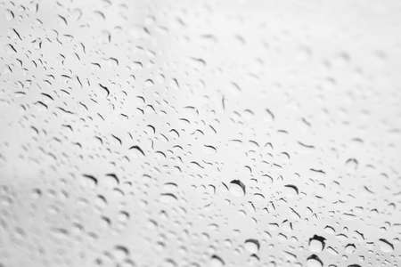 Rain drop on glass background.の写真素材