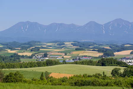Landscape of rice field and mountain in Hokkaido, Japanの写真素材