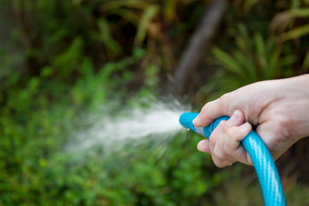 Gardener watering to a tree in garden.の写真素材