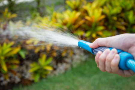 Gardener watering to a tree in garden.の写真素材