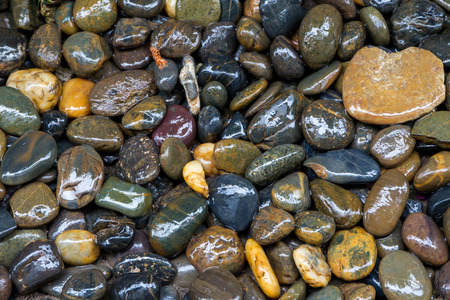 Natural stones in forest close up in background.の写真素材