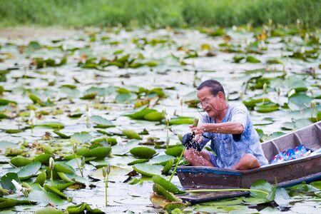 NONTHABURI,THAILAND-SEP 6: Photograph of a Thai fisherman finding for fish and lotus root in wooden boat on September 6, 2016.のeditorial素材