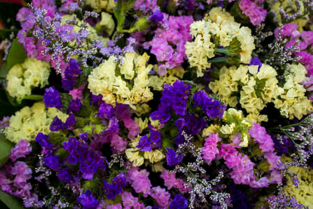 Bouquet of colourful flowers close up.の写真素材