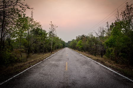 Landscape of empty road along the forest.の写真素材