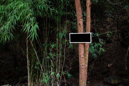 Empty sign on tree in the jungle close up.の写真素材