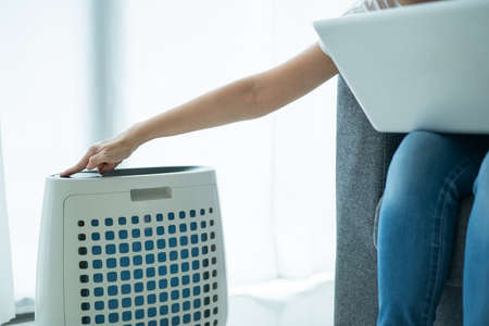 Asian young woman working in home office and using an air purifier, a girl sitting on sofa and using laptop.の写真素材