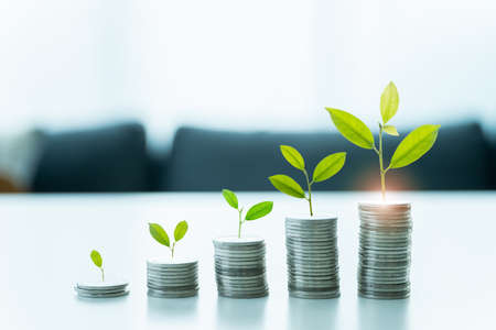 Money saving and growth in wealth concept.の写真素材