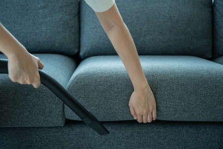 Asian housewife using a wireless vacuum machine to clean a sofa in living room close up. Asian housekeeper vacuuming in living room. Chores and daily housework activities concept.の写真素材
