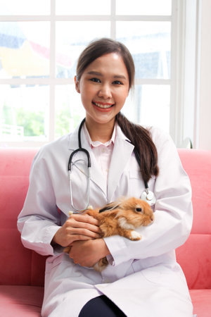 Happy - cheerful Asian veterinarian holding or carrying a young rabbit with care. Health check up in the exotic animal concept. Veterinarian examining a young rabbit in the examination room.の写真素材
