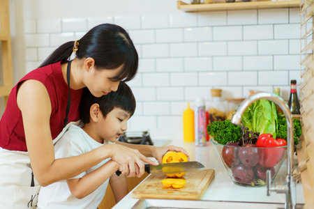 Happy cheerful mother and her little boy preparing a foods and vegetables in domestic kitchen together. Mum teaching her little son to cooking in kitchen.の写真素材