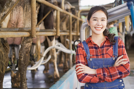 Professional Asian female animal husbandry working in dairy milk farm. Portrait of Asian female livestock farm worker standing in the dairy or milk cow farmhouse.の写真素材