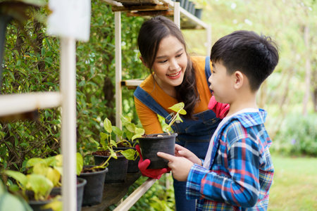 Happy Asian woman and little boy planting a house plants in green house together. Satisfied little boy enjoy planting and watering a small tree with his mother in greenhouse.の写真素材