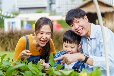 Happy Asian family father mother and son posing for a photography in flowers and botanical garden. Portrait of cheerful Asian family doing a weekend activity together in flower - botanical garden.の写真素材